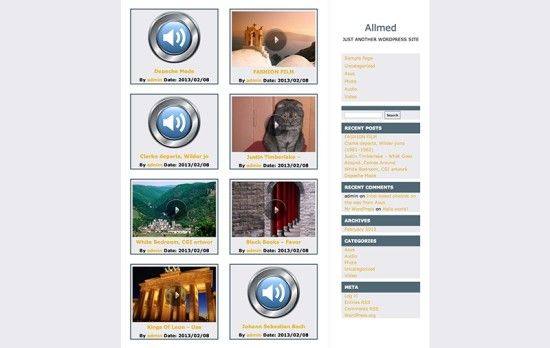 allmed-wordpress-video-theme