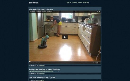 webvideo1-theme-wordpress-video