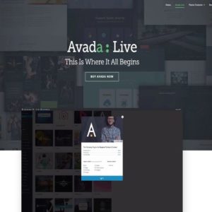 wordpress-theme-avada